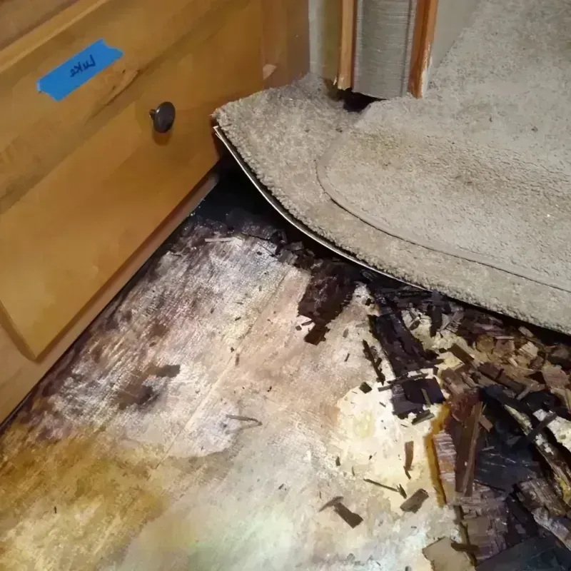 Best Wood Floor Water Damage Service in Stratford, NJ